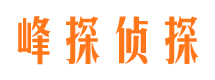 和政侦探公司